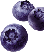 blueberry small